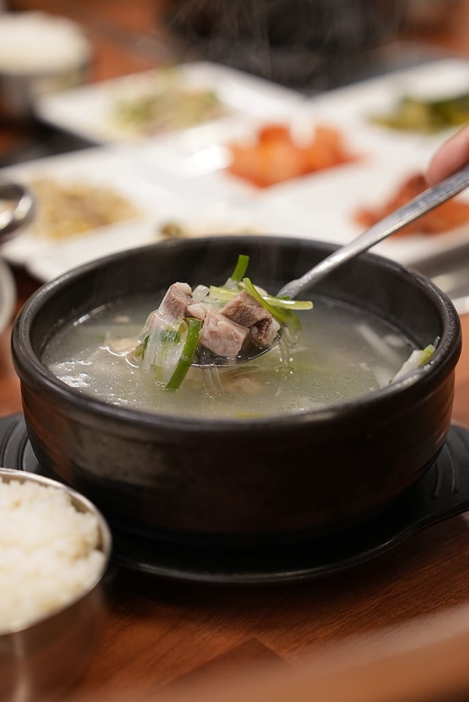 The Exodus Experience - Gastritis Plan 04